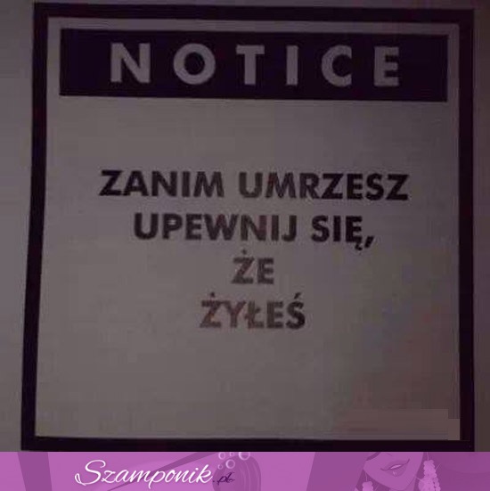 Zanim umrzesz