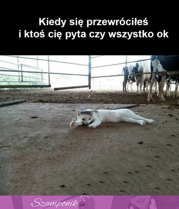 Kiedy się przewróciłeś