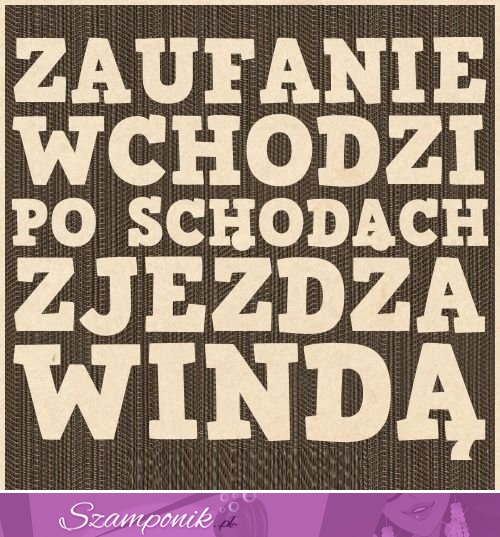 Zaufanie wchodzi po schodach...