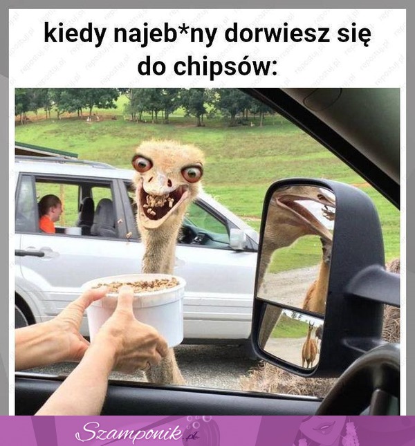 Zjem wszystko!