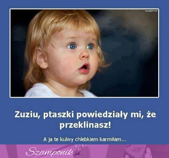 Ptaszki powiedziały, ze zuzia przeklina...