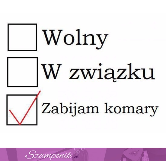 Zabijam komary