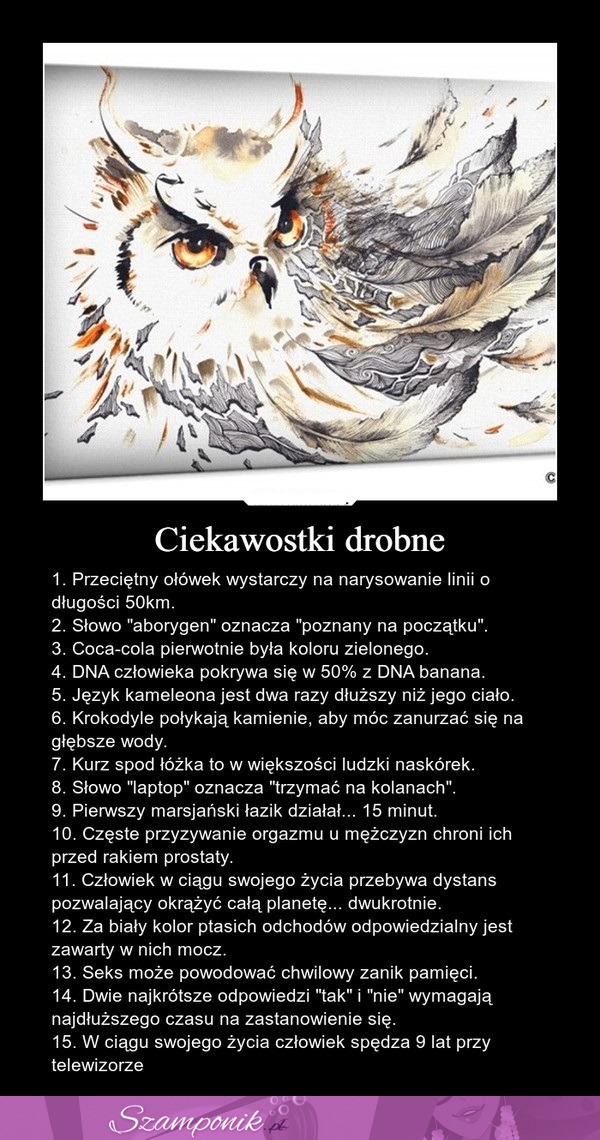 Drobne ciekawostki... CIEKAWE ;)