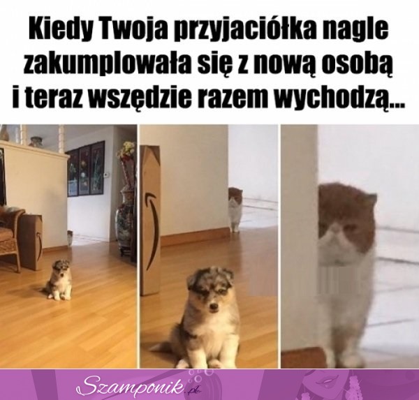 Wcale nie jestem zazdrosna!