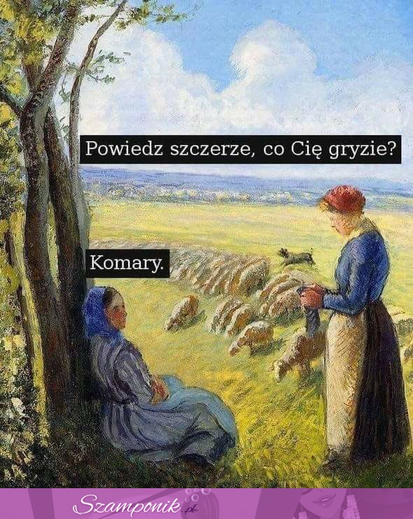 Co ją ugryzło?