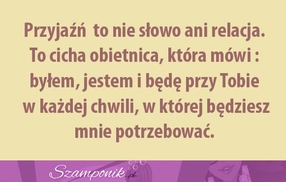 Przyjaźć to nie słowo..