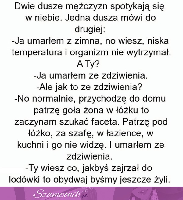 Dwie dusze mężczyzn spotykają się w niebie... DOBRE! ;D