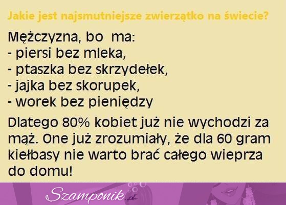 Zobacz jakie jest najsmutniejsze zwierzątko na świecie, haha dobre! :D