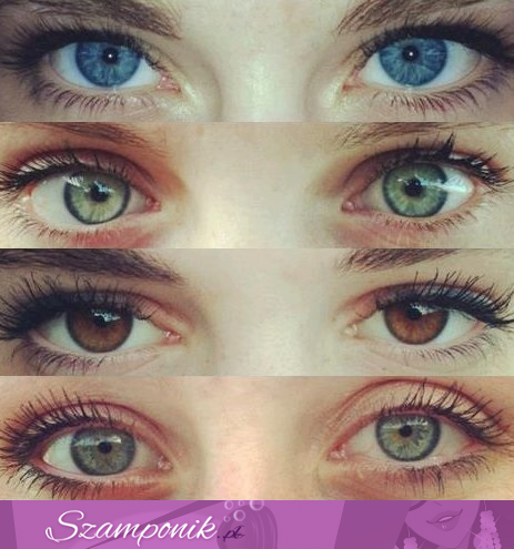 A który kolor oczu Ty masz?