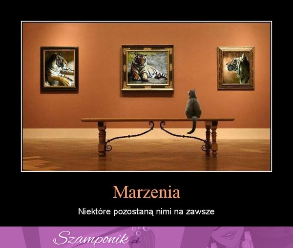 Marzenia...