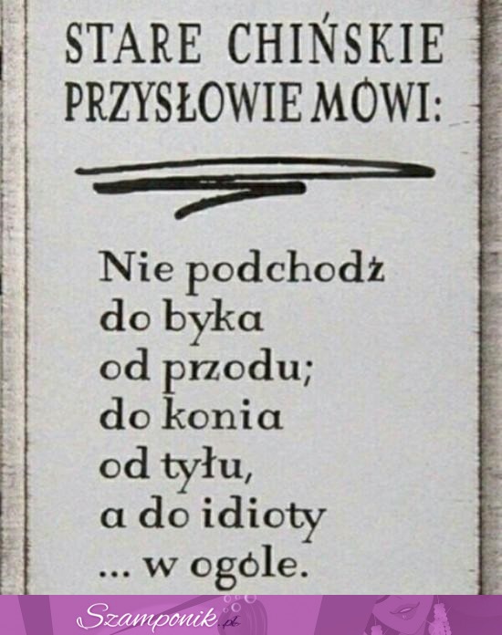 Mądre przysłowie