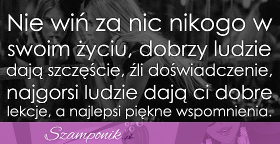 Nie wiń nikogo...