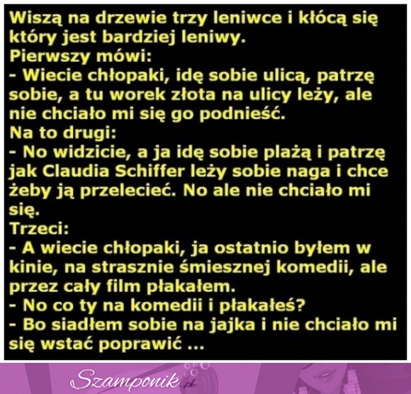 Wiszą na drzewie trzy leniwce i kłócą się który jest bardziej leniwy :D