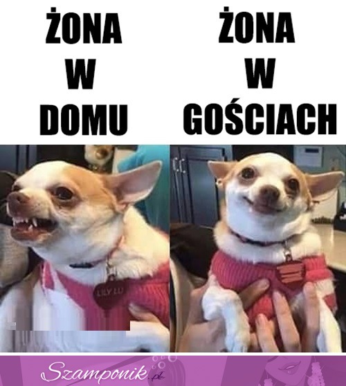 Kobieta zmienną jest ;P