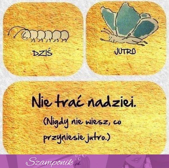 Nie trać nadziei!