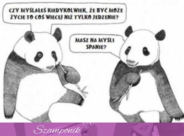 Spanie? :D