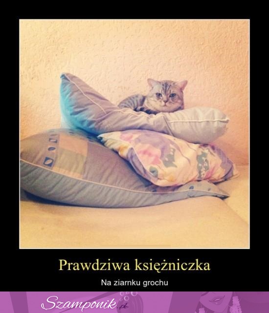 Prawdziwa księżniczka