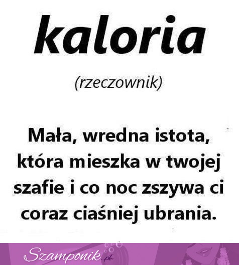 Kaloria