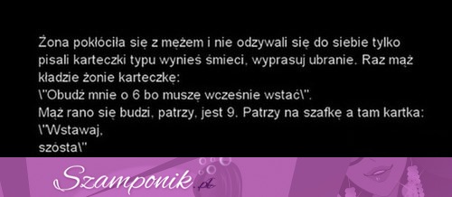 Żona pokłóciła się z mężem... Co znalazł rano koło łóżka?