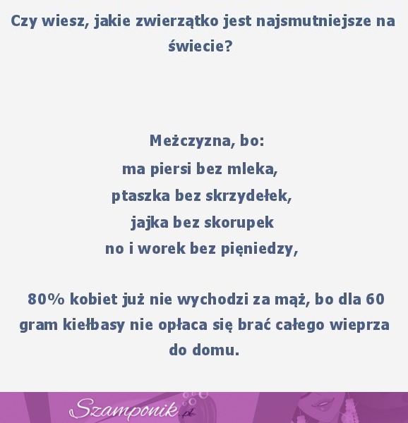 Jakie zwierzątko jest najsmutniejsze na świecie? :D