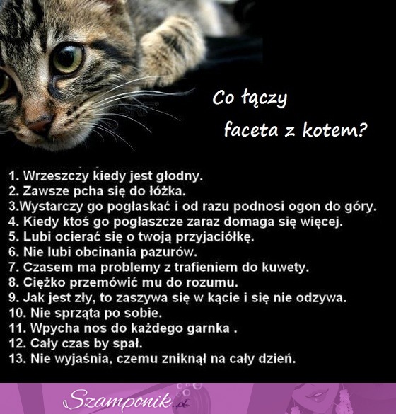 Co łączy faceta z kotem ZOBACZ, haha