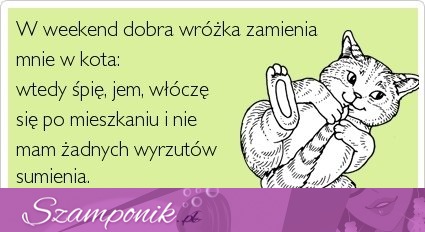 W weekend dobra wróżka zamienia mnie w...