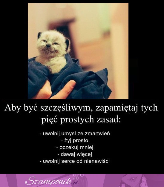 Aby być szczęśliwym, zapamiętaj tych pięć prostych zasad.