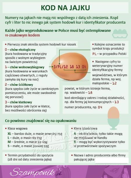 Każde jajko wyprodukowane w Polsce musi być ostemplowane 11-znakowym kodem. ZOBACZ, co on oznacza!