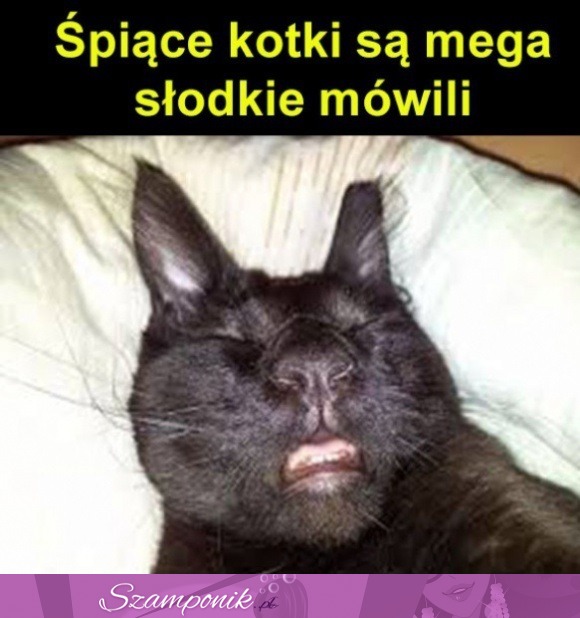 Tak mówili...