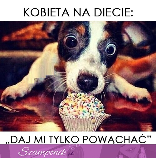 Kobieta i dieta ;)