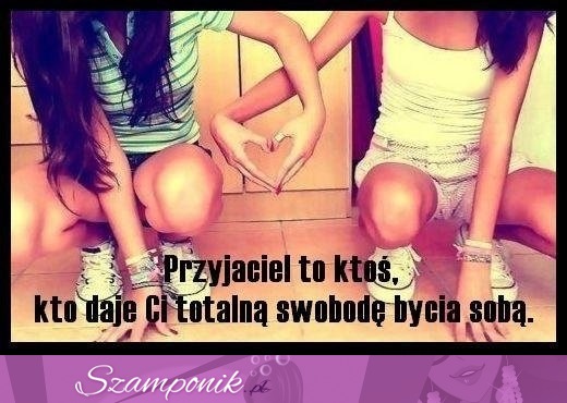 Kto to jest przyjaciel...