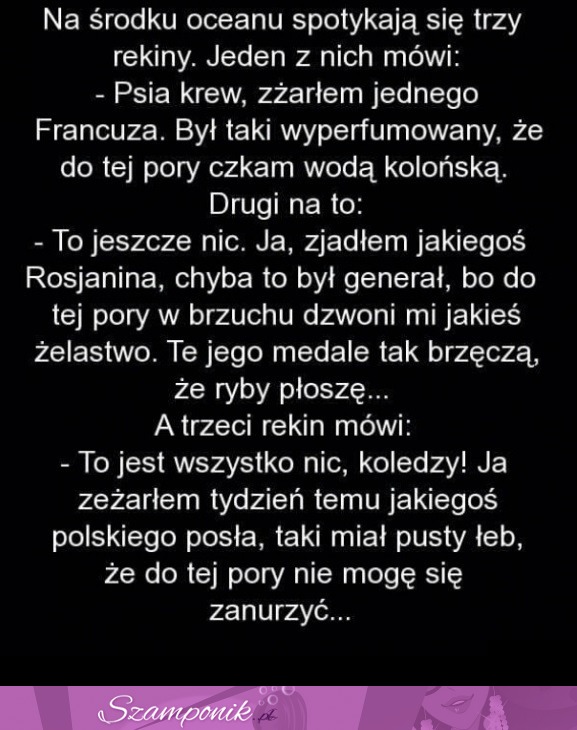 Na środku oceanu spotykają się trzy rekiny... BEKA!