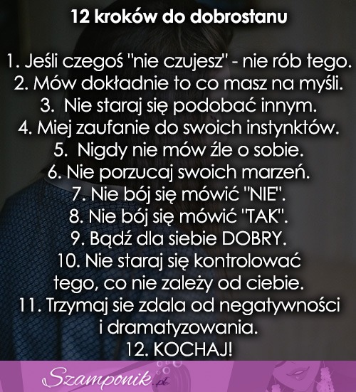 12 kroków do dobrostanu