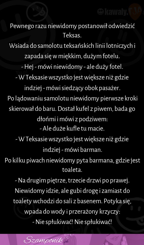 Niewidomy postanawia odwiedzić Teksas... Zobacz, jak to się skończy ;D