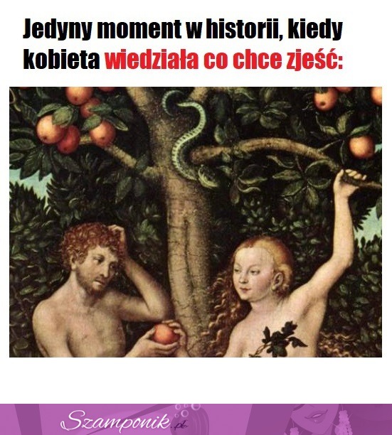 Jedyny moment w historii, kiedy kobieta wiedziała co zjeść XD