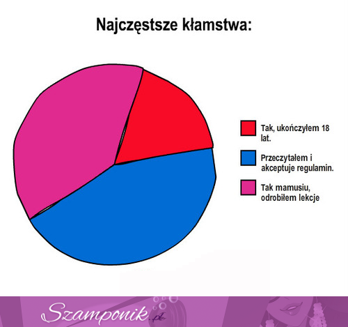 Najczęstsze KŁAMSTWA nastolatków! Spotkałaś się z nimi!? :)