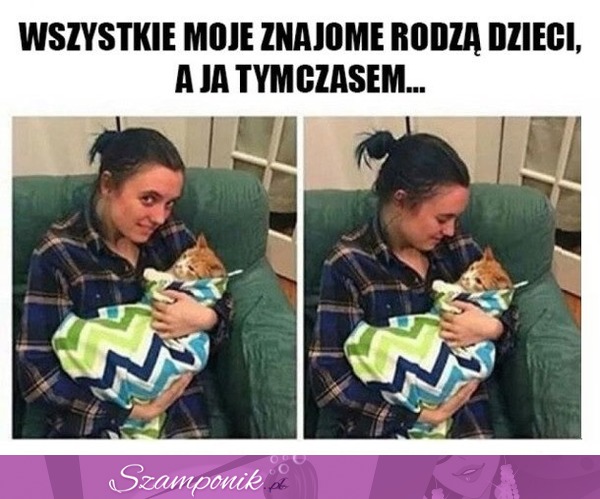 A ja mam kota i bardzo się cieszę