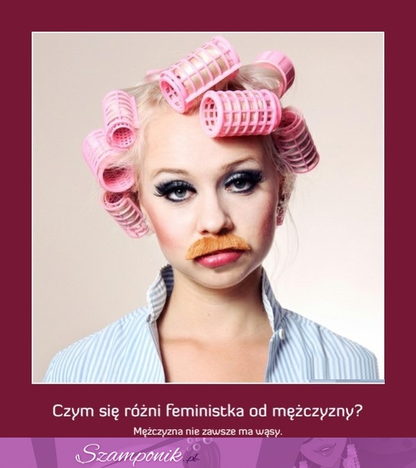 Feministka vs facet