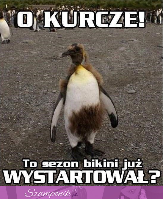 Sezon bikini ;D