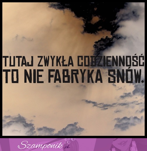 Zwykła codzinność