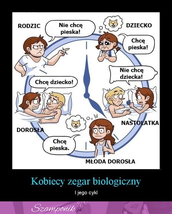 Kobiecy ZEGAR BIOLOGICZNY i jego cykle! Zgodzisz się z tym?