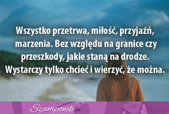 Wszystko przetrwa