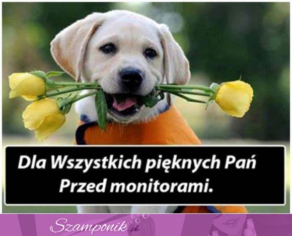 Dla wszystkich Pań! <3