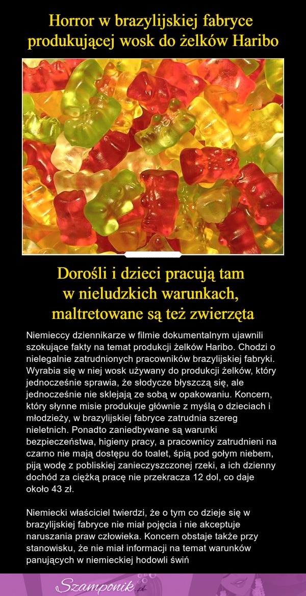 Horror w brazylijskiej fabryce produkującej wosk do żelków Haribo...