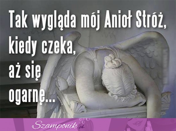 Tak wygląda mój Anioł Stróż