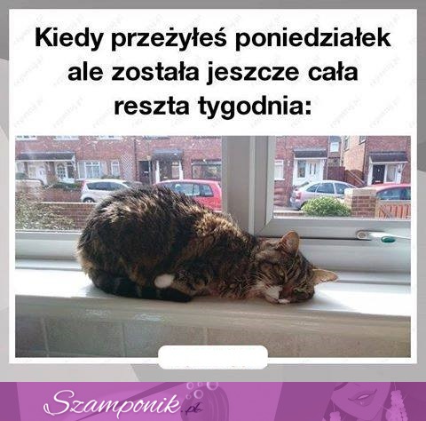 Już prawie koniec poniedziałku...