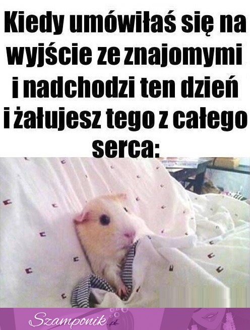 Kiedy umówiłaś się na wyjście...