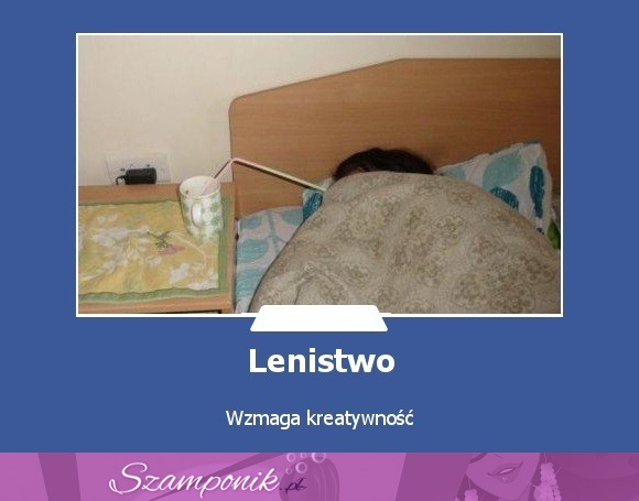 Lenistwo