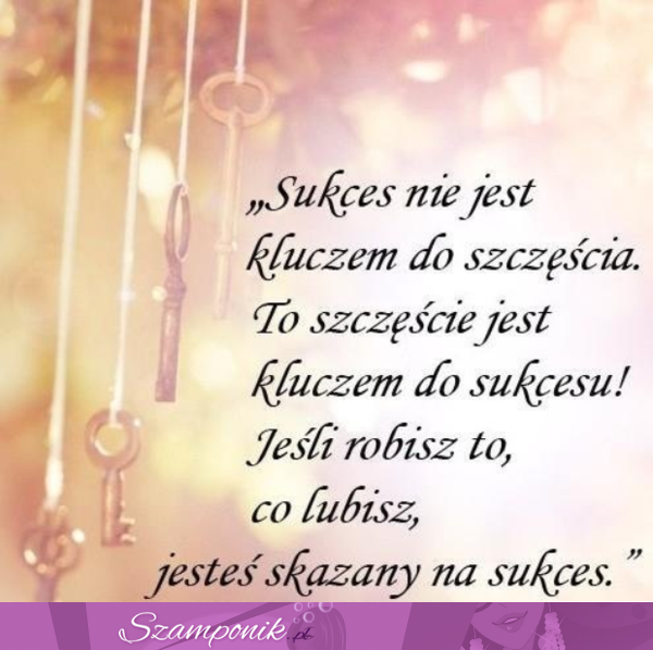 Sukces nie jest kluczem