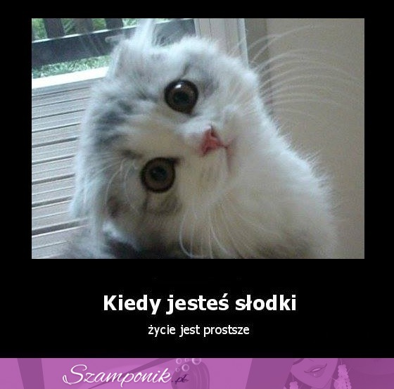 Kiedy jesteś słodki ;)